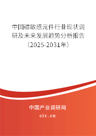 中國磁敏感元件行業(yè)現(xiàn)狀調(diào)研及未來發(fā)展趨勢(shì)分析報(bào)告（2025-2031年）
