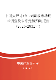中國(guó)大尺寸tft-lcd面板市場(chǎng)現(xiàn)狀調(diào)查及未來(lái)走勢(shì)預(yù)測(cè)報(bào)告（2025-2031年）