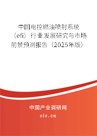 中國電控燃油噴射系統(tǒng)（efi）行業(yè)發(fā)展研究與市場前景預測報告（2025年版）