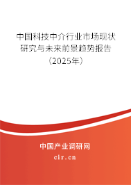 中國科技中介行業(yè)市場現(xiàn)狀研究與未來前景趨勢報告（2025年）