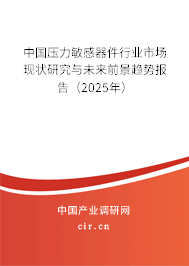 中國壓力敏感器件行業(yè)市場現(xiàn)狀研究與未來前景趨勢報告（2025年）