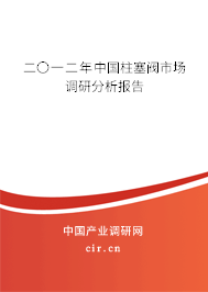 二〇一二年中國柱塞閥市場調(diào)研分析報(bào)告