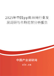 2025年中國pp扁絲繩行業(yè)發(fā)展調(diào)研與市場前景分析報告