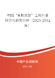 中國“東數(shù)西算”工程行業(yè)研究與趨勢分析（2025-2031年）
