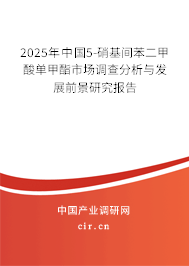 2025年中國5-硝基間苯二甲酸單甲酯市場調(diào)查分析與發(fā)展前景研究報告