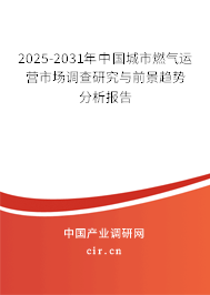 2025-2031年中國(guó)城市燃?xì)膺\(yùn)營(yíng)市場(chǎng)調(diào)查研究與前景趨勢(shì)分析報(bào)告