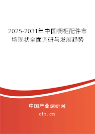 2025-2031年中國櫥柜配件市場(chǎng)現(xiàn)狀全面調(diào)研與發(fā)展趨勢(shì)