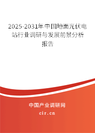 2025-2031年中國地面光伏電站行業(yè)調(diào)研與發(fā)展前景分析報告