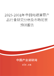 2025-2031年中國電磁兼容產(chǎn)品行業(yè)研究分析及市場前景預(yù)測報(bào)告