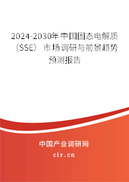 2024-2030年中國固態(tài)電解質(zhì)（SSE）市場調(diào)研與前景趨勢預測報告