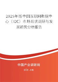2025年版中國互聯(lián)網(wǎng)數(shù)據(jù)中心（IDC）市場現(xiàn)狀調(diào)研與發(fā)展趨勢分析報告