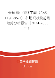全球與中國環(huán)丁酮（CAS 1191-95-3）市場現(xiàn)狀及前景趨勢分析報告（2024-2030年）