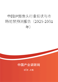 中國爐攝像頭行業(yè)現(xiàn)狀與市場前景預測報告（2025-2031年）