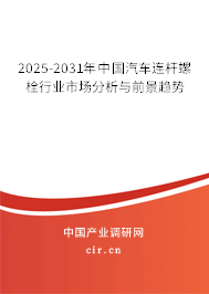 2024-2030年中國汽車連桿螺栓行業(yè)市場分析與前景趨勢