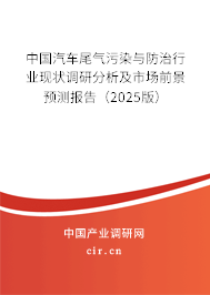 中國汽車尾氣污染與防治行業(yè)現(xiàn)狀調(diào)研分析及市場前景預(yù)測報告（2025版）
