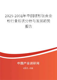 2024-2030年中國球形鈦合金粉行業(yè)現(xiàn)狀分析與發(fā)展趨勢報告