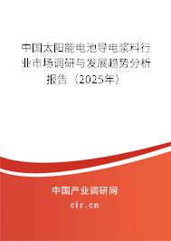 中國(guó)太陽(yáng)能電池導(dǎo)電漿料行業(yè)市場(chǎng)調(diào)研與發(fā)展趨勢(shì)分析報(bào)告（2025年）