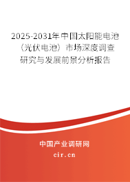 2025-2031年中國(guó)太陽(yáng)能電池（光伏電池）市場(chǎng)深度調(diào)查研究與發(fā)展前景分析報(bào)告