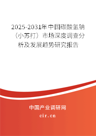 2025-2031年中國碳酸氫鈉（小蘇打）市場深度調(diào)查分析及發(fā)展趨勢研究報(bào)告