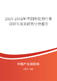 2025-2031年中國新能源行業(yè)調(diào)研與發(fā)展趨勢分析報(bào)告