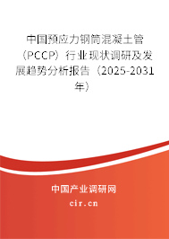 中國預(yù)應(yīng)力鋼筒混凝土管（PCCP）行業(yè)現(xiàn)狀調(diào)研及發(fā)展趨勢分析報(bào)告（2025-2031年）