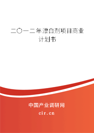 二〇一二年漂白劑項(xiàng)目商業(yè)計(jì)劃書