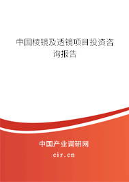 中國(guó)棱鏡及透鏡項(xiàng)目投資咨詢(xún)報(bào)告