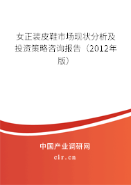 女正裝皮鞋市場現狀分析及投資策略咨詢報告（2012年版）