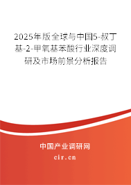 2025年版全球與中國5-叔丁基-2-甲氧基苯酸行業(yè)深度調(diào)研及市場前景分析報告