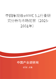 中國(guó)車(chē)規(guī)級(jí)eMMC 5.1行業(yè)研究分析與市場(chǎng)前景（2025-2031年）