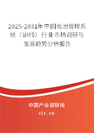 2025-2031年中國電池管理系統(tǒng)（BMS）行業(yè)市場調(diào)研與發(fā)展趨勢分析報告