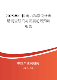 2025年中國電力勘察設(shè)計市場調(diào)查研究與發(fā)展前景預(yù)測報告