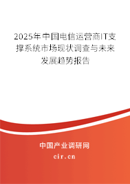 2025年中國電信運營商IT支撐系統(tǒng)市場現(xiàn)狀調(diào)查與未來發(fā)展趨勢報告