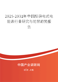 2025-2031年中國反竊電式電能表行業(yè)研究與前景趨勢報(bào)告