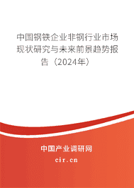 中國鋼鐵企業(yè)非鋼行業(yè)市場現(xiàn)狀研究與未來前景趨勢報告（2024年）