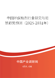 中國環(huán)保助劑行業(yè)研究與前景趨勢預測（2025-2031年）