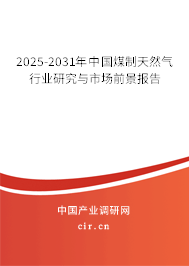 2025-2031年中國煤制天然氣行業(yè)研究與市場前景分析報(bào)告