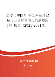 全球與中國(guó)N,N-二甲基環(huán)己胺行業(yè)現(xiàn)狀調(diào)研與發(fā)展趨勢(shì)分析報(bào)告（2025-2031年）