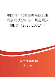 中國汽車駕駛輔助系統(tǒng)行業(yè)發(fā)展現(xiàn)狀分析與市場前景預(yù)測報告（2025-2031年）