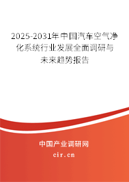 2025-2031年中國(guó)汽車(chē)空氣凈化系統(tǒng)行業(yè)發(fā)展全面調(diào)研與未來(lái)趨勢(shì)報(bào)告