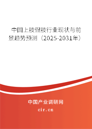 中國上肢假肢行業(yè)現(xiàn)狀與前景趨勢預(yù)測（2025-2031年）