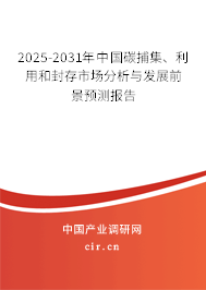 2025-2031年中國碳捕集、利用和封存市場分析與發(fā)展前景預(yù)測報告