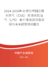 2024-2030年全球與中國壓縮天然氣（CNG）和液化石油氣（LPG）車行業(yè)發(fā)展深度調(diào)研與未來趨勢預測報告