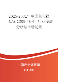 2025-2031年中國(guó)氧化鎂（CAS 1309-48-4）行業(yè)發(fā)展分析與市場(chǎng)前景