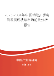 2025-2031年中國鑰匙扣手電筒發(fā)展現狀與市場前景分析報告