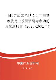 中國乙?；阴?2,4-二甲基苯胺行業(yè)發(fā)展調(diào)研與市場前景預測報告（2025-2031年）