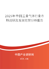 2025年中國工業(yè)氣體行業(yè)市場調(diào)研及發(fā)展前景分析報(bào)告