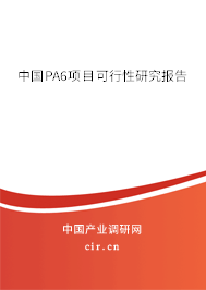 中國PA6項(xiàng)目可行性研究報(bào)告