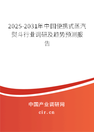 2025-2031年中國便攜式蒸汽熨斗行業(yè)調(diào)研及趨勢預(yù)測報告