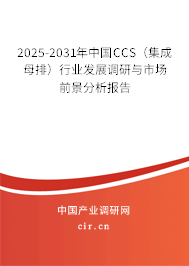 2025-2031年中國(guó)CCS（集成母排）行業(yè)發(fā)展調(diào)研與市場(chǎng)前景分析報(bào)告